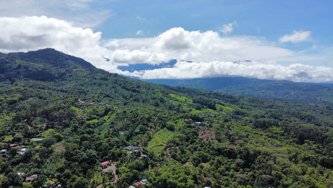 Quebradas, Perez Zeledon, 11901, ,Land,For Sale,Quebradas,1259